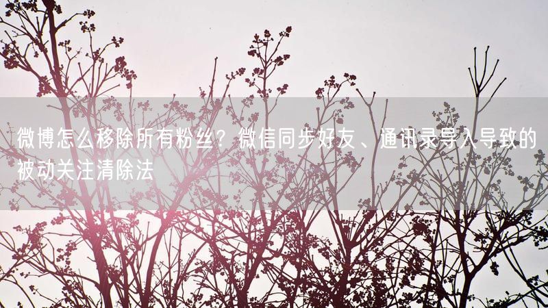 微博怎么移除所有粉丝？微信同步好友、通讯录导入导致的被动关注清除法