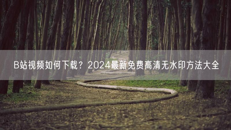 B站视频如何下载？2024最新免费高清无水印方法大全