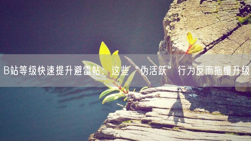 B站等级快速提升避雷帖：这些“伪活跃”行为反而拖慢升级