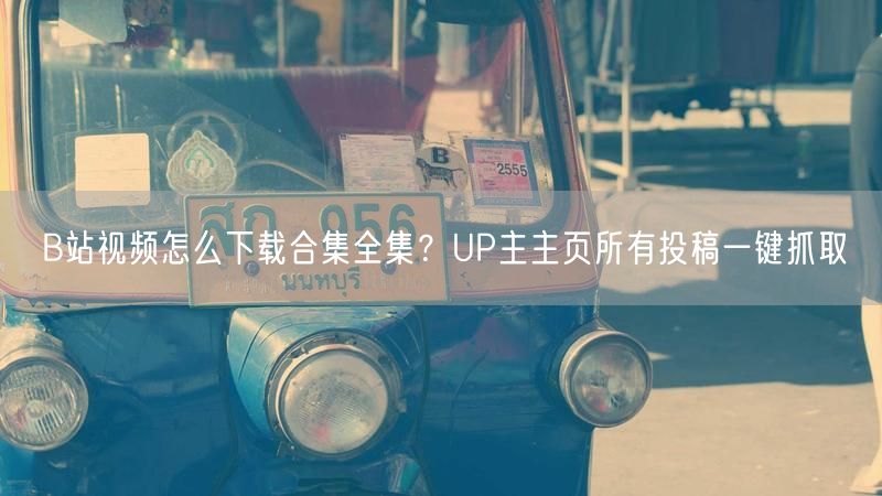 B站视频怎么下载合集全集？UP主主页所有投稿一键抓取