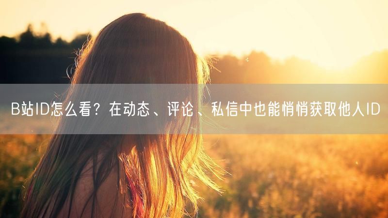B站ID怎么看？在动态、评论、私信中也能悄悄获取他人ID