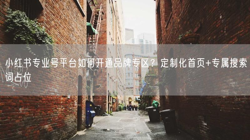 小红书专业号平台如何开通品牌专区？定制化首页+专属搜索词占位