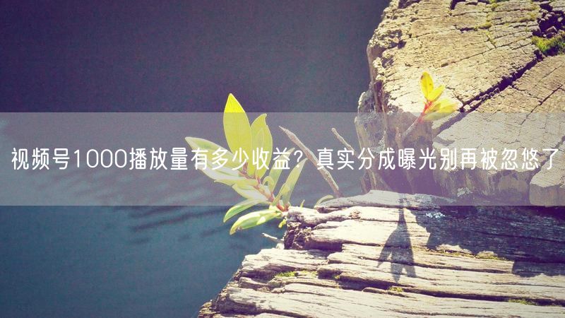 视频号1000播放量有多少收益？真实分成曝光别再被忽悠了