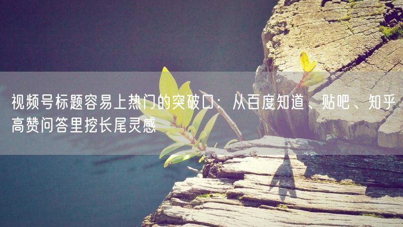视频号标题容易上热门的突破口：从百度知道、贴吧、知乎高赞问答里挖长尾灵感