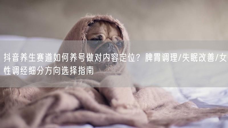 抖音养生赛道如何养号做对内容定位？脾胃调理/失眠改善/女性调经细分方向选择指南