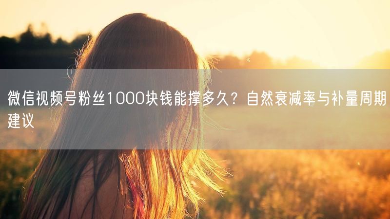微信视频号粉丝1000块钱能撑多久？自然衰减率与补量周期建议
