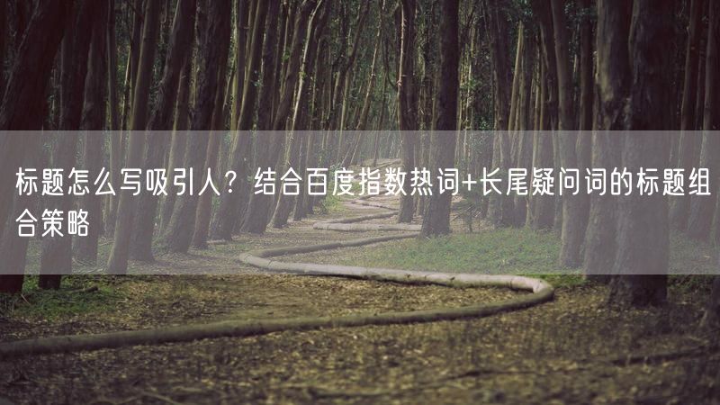 标题怎么写吸引人？结合百度指数热词+长尾疑问词的标题组合策略