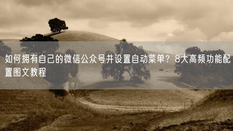 如何拥有自己的微信公众号并设置自动菜单？8大高频功能配置图文教程