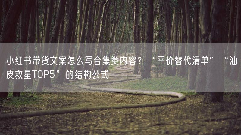 小红书带货文案怎么写合集类内容？“平价替代清单”“油皮救星TOP5”的结构公式