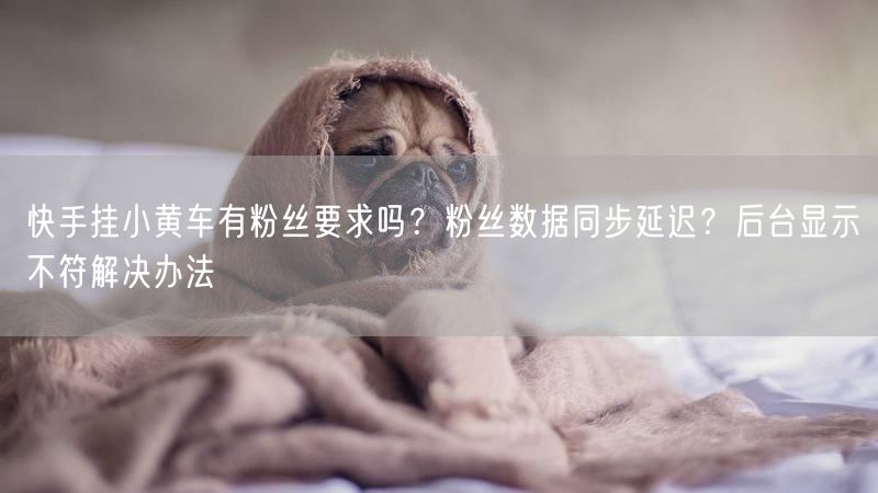 快手挂小黄车有粉丝要求吗？粉丝数据同步延迟？后台显示不符解决办法