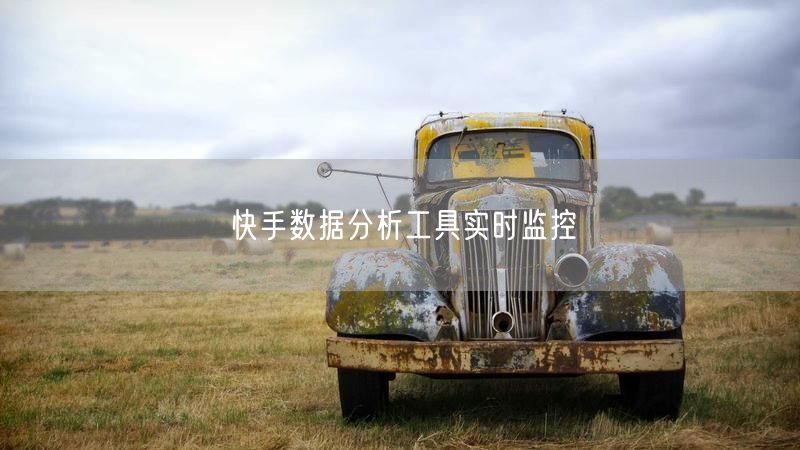 快手数据分析工具实时监控
