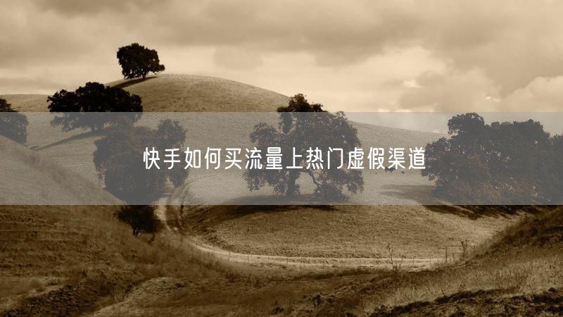 快手如何买流量上热门虚假渠道