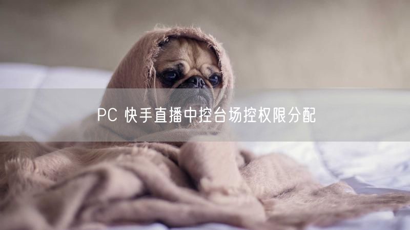 PC 快手直播中控台场控权限分配