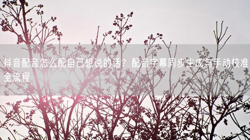 抖音配音怎么配自己想说的话？配音字幕同步生成与手动校准全流程