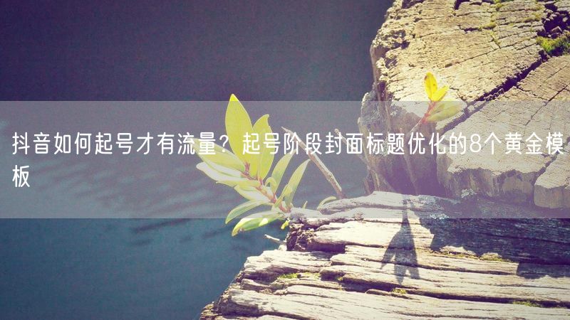 抖音如何起号才有流量？起号阶段封面标题优化的8个黄金模板