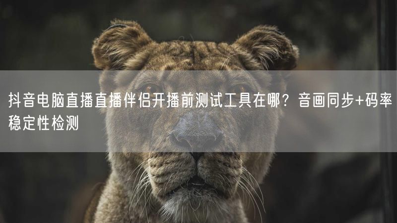 抖音电脑直播直播伴侣开播前测试工具在哪？音画同步+码率稳定性检测