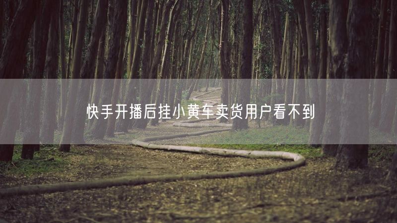 快手开播后挂小黄车卖货用户看不到