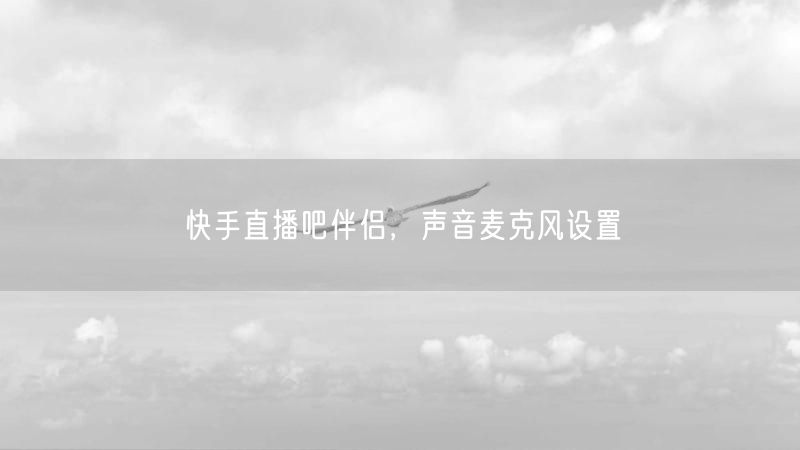 快手直播吧伴侣，声音麦克风设置