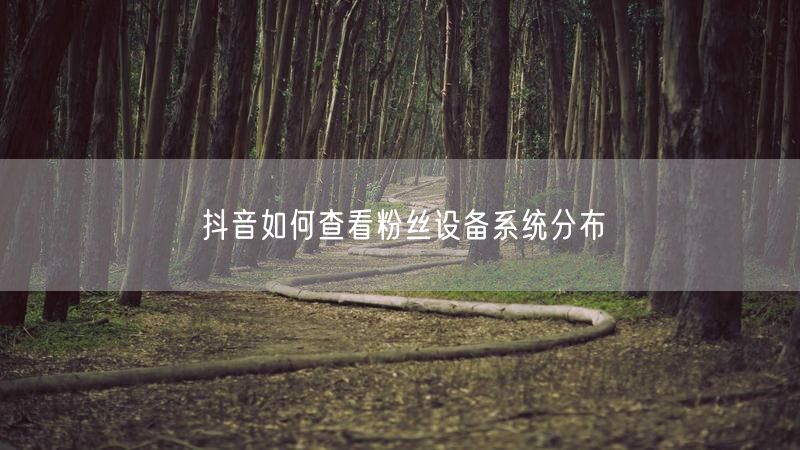 抖音如何查看粉丝设备系统分布